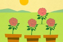 Illustration of flowers growing, representing the gradual release of responsibility